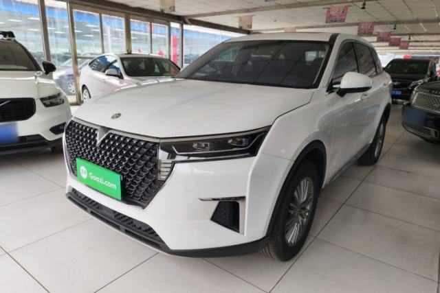 Used Venucia Star 2023 260T XingShang Pro Edition