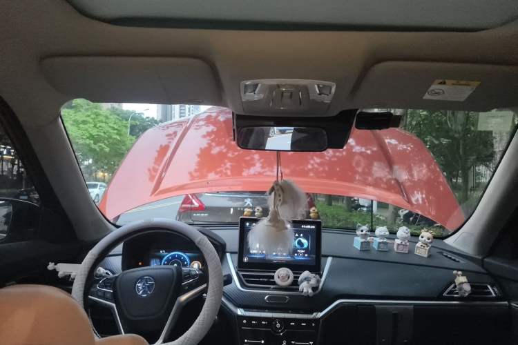 Used Venucia T60 2018 1.6L CVT Zhiyue Edition China V Standard Headliner