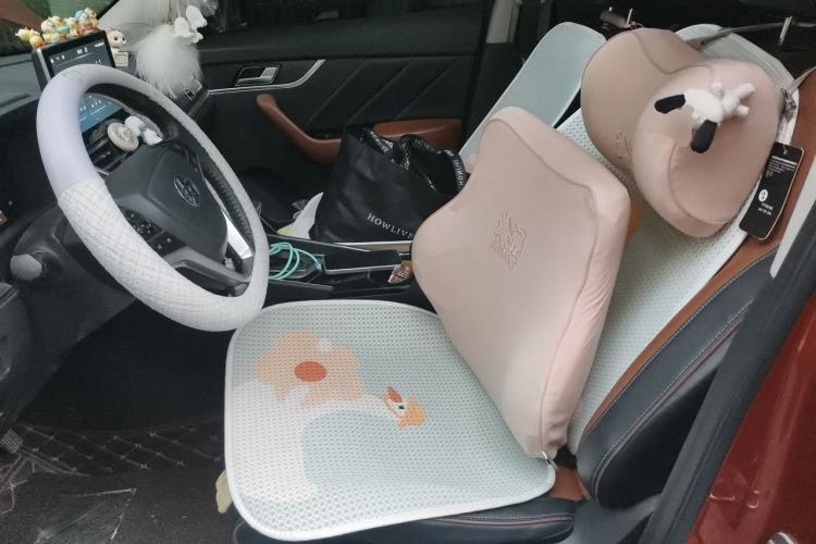 Used Venucia T60 2018 1.6L CVT Zhiyue Edition China V Standard Left Front Seat