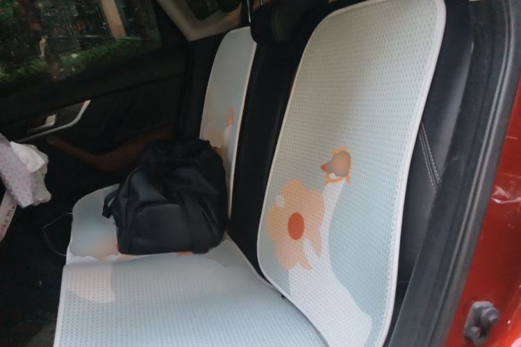 Used Venucia T60 2018 1.6L CVT Zhiyue Edition China V Standard Left Rear Seat