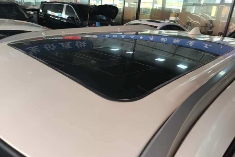 Used Venucia T60 2018 1.6L CVT Zhiyue Edition China V Standard Roof