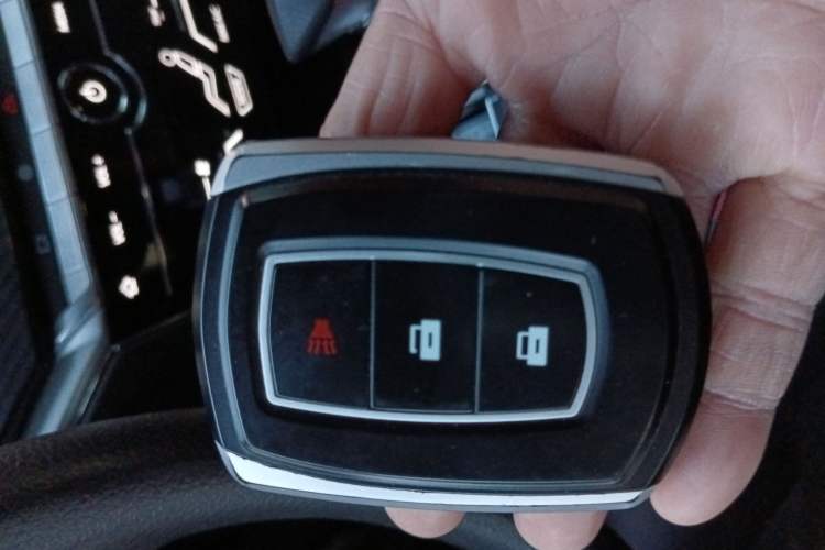 Used Venucia T60 2018 1.6L CVT Smart Edition China V Standard Vehicle Key
