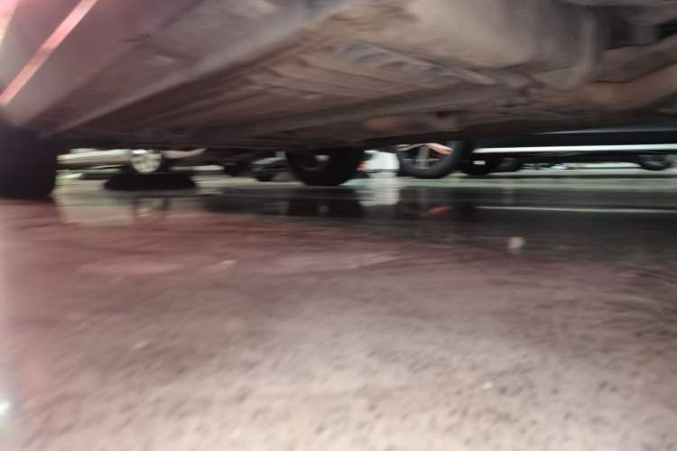 Used Venucia T60 2020 1.6L CVT Smart Drive Version China VI Standard Chassis Rear Left