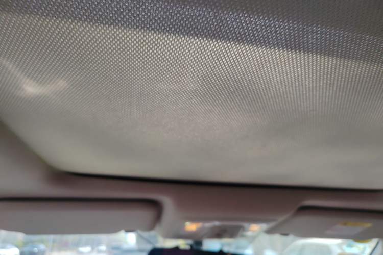 Used Venucia T60 2020 1.6L CVT Smart Drive Version China VI Standard Headliner
