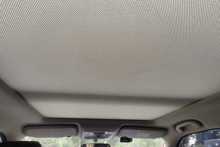 Used Venucia T60 2020 1.6L CVT Smart Drive Version China VI Standard Headliner