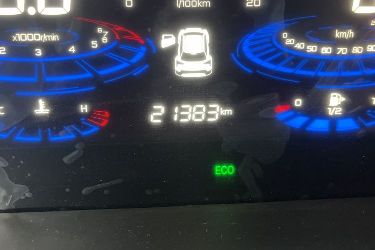 Used Venucia T60 2020 1.6L CVT Smart Edition China V Standard Odometer Close Up
