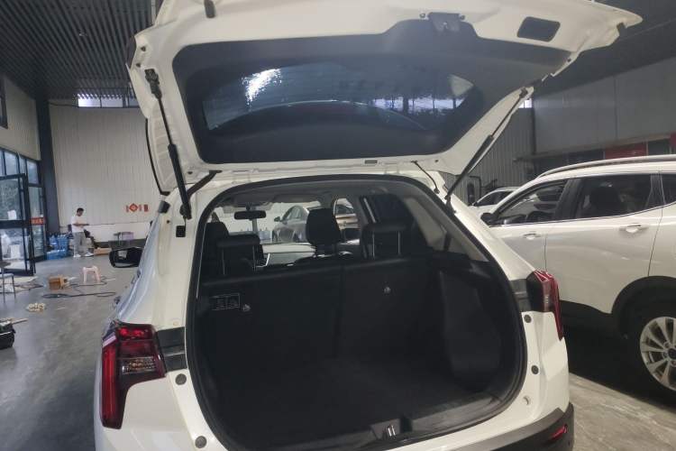 Used Venucia T60 2020 1.6L CVT Smart Drive Version China VI Standard Trunk