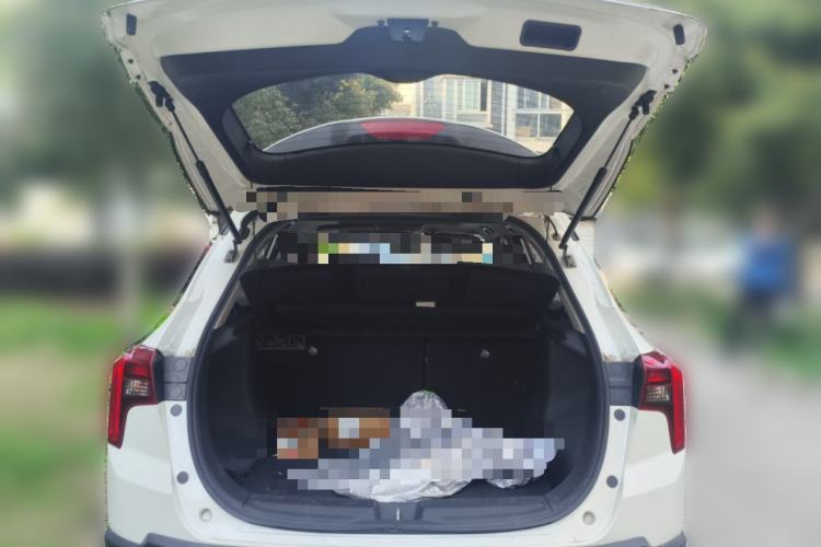 Used Venucia T60 2020 1.6L CVT Smart Enjoyment Edition China VI standard Trunk