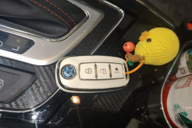 Used Venucia T60 2020 1.6L CVT Smart Drive Version China VI Standard Vehicle Key