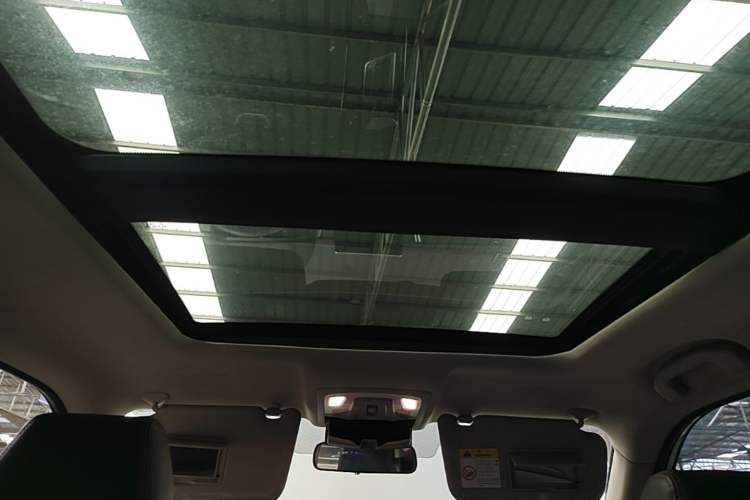 Used Venucia T60 2022 1.6L CVT Smart Drive Version Headliner