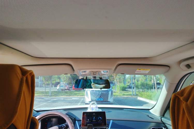 Used Venucia T60 2022 1.6L CVT Smart Drive Version Headliner
