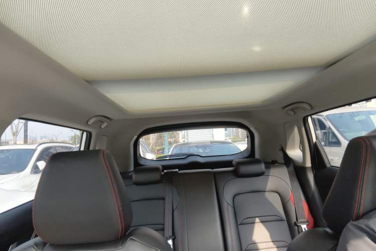 Used Venucia T60 2022 1.6L CVT Smart Drive Version Headliner