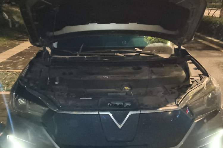 Used Venucia T60EV 2023 Comfort Edition Engine Bay