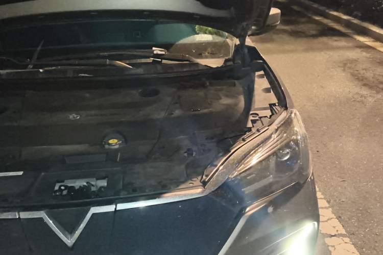 Used Venucia T60EV 2023 Comfort Edition Engine Bay Left