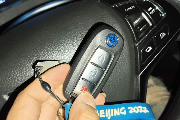 Used Venucia T60EV 2023 Comfort Edition Vehicle Key