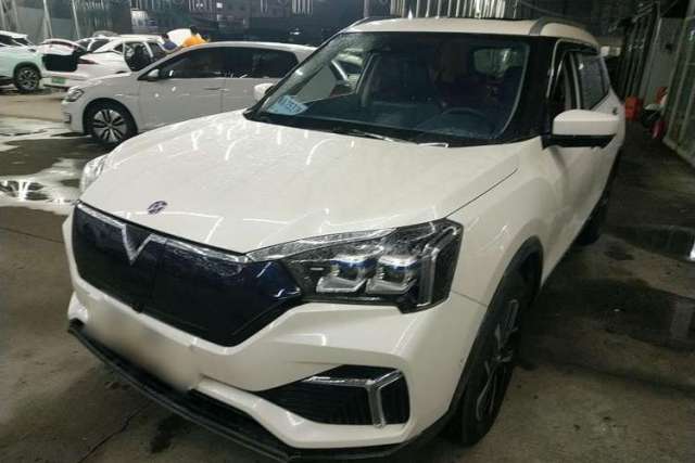 Used Venucia T60EV 2020 AI Flagship Model