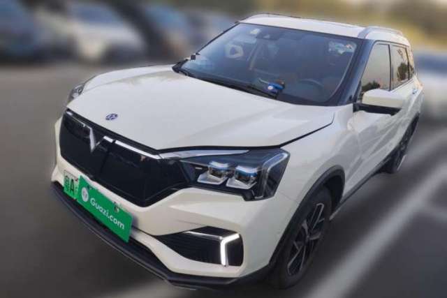 Used Venucia T60EV 2020 AI Flagship Model