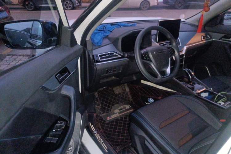 Used Venucia T60EV 2020 AI Enjoyment Model Driver Seat