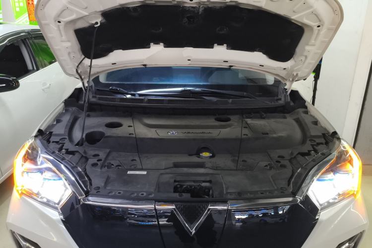 Used Venucia T60EV 2020 AI Flagship Model Engine Bay