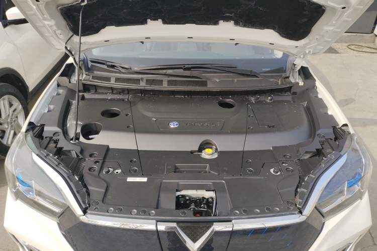 Used Venucia T60EV 2020 AI Enjoyment Model Engine Bay
