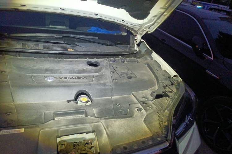 Used Venucia T60EV 2020 AI Enjoyment Model Engine Bay Left