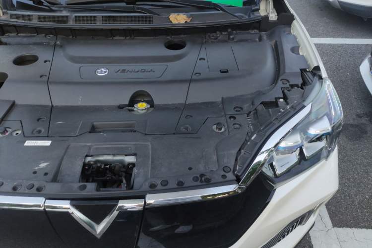 Used Venucia T60EV 2020 AI Flagship Model Engine Bay Left