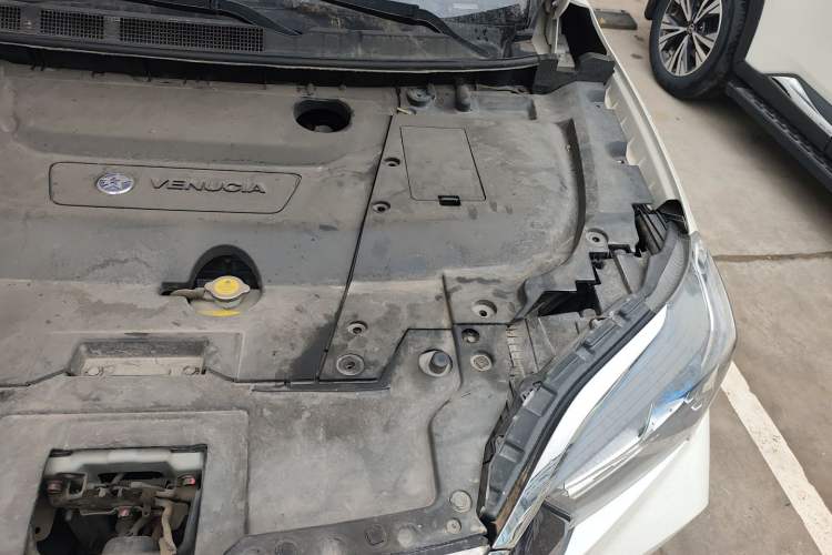 Used Venucia T60EV 2020 AI Enjoyment Model Engine Bay Left