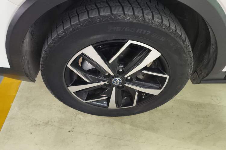 Used Venucia T60EV 2020 AI Flagship Model Exterior 1