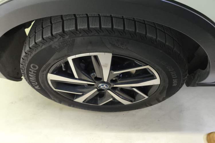 Used Venucia T60EV 2020 AI Flagship Model Exterior 2