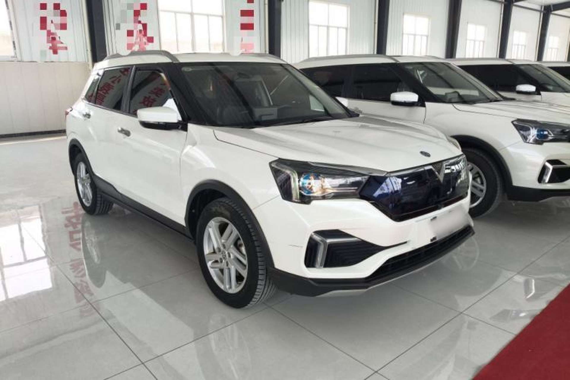 Used Venucia T60EV 2020 AI Enjoyment Model Exterior 2