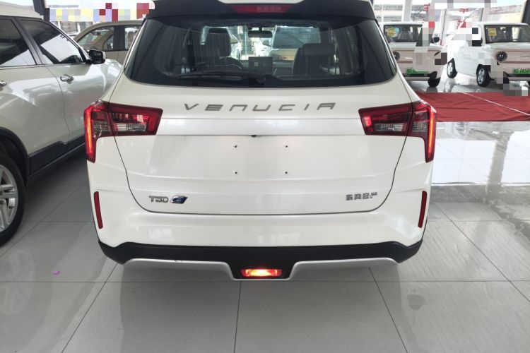 Used Venucia T60EV 2020 AI Enjoyment Model Exterior 4
