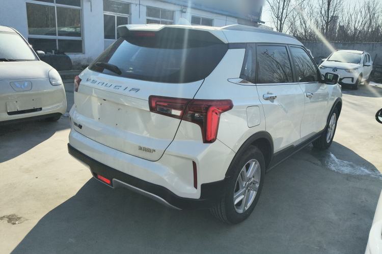 Used Venucia T60EV 2020 AI Enjoyment Model Exterior 5