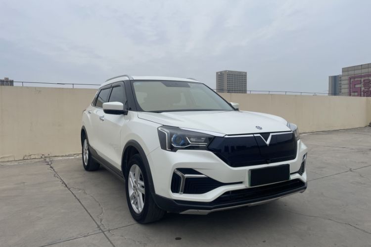 Used Venucia T60EV 2020 AI Enjoyment Model Exterior 5