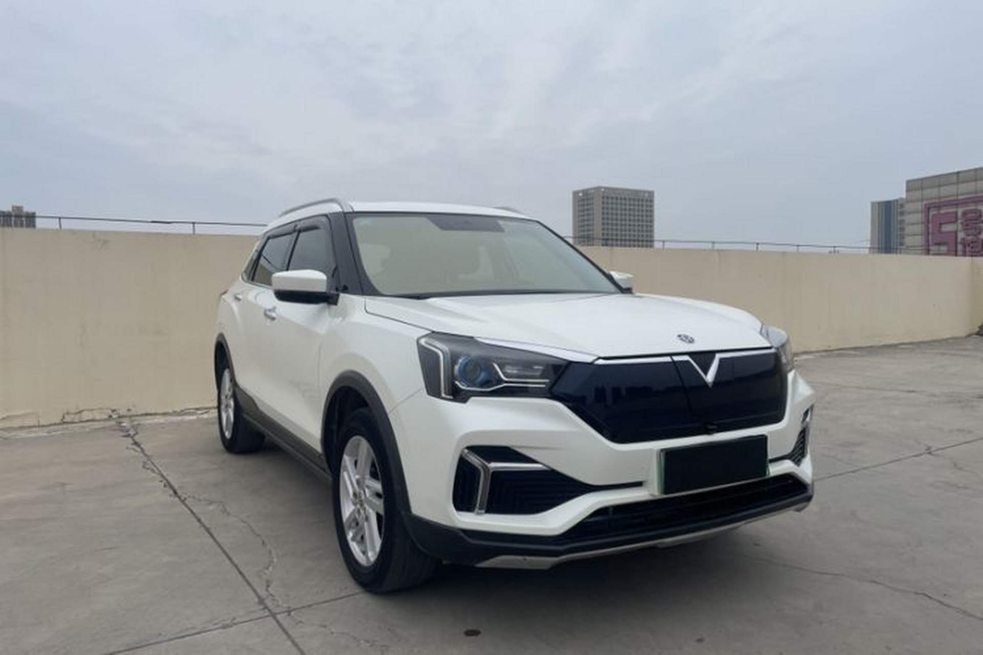 Used Venucia T60EV 2020 AI Enjoyment Model Exterior 5