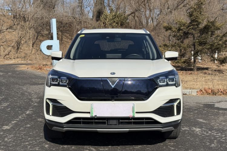 Used Venucia T60EV 2020 AI Flagship Model Exterior 6