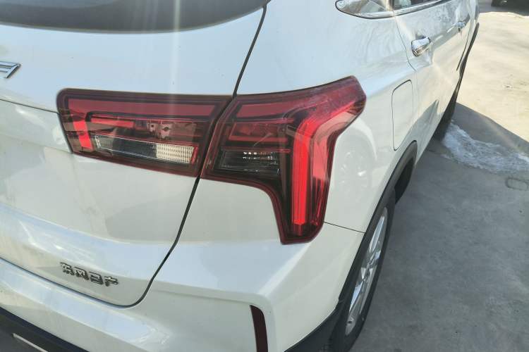 Used Venucia T60EV 2020 AI Enjoyment Model Exterior 6