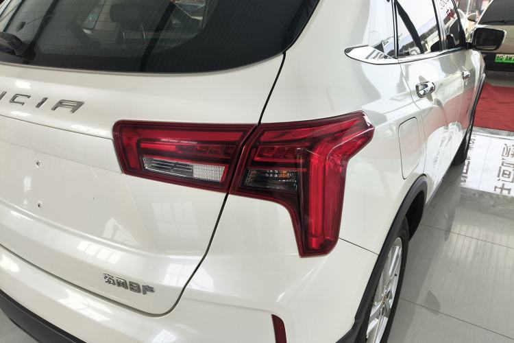 Used Venucia T60EV 2020 AI Enjoyment Model Exterior 6