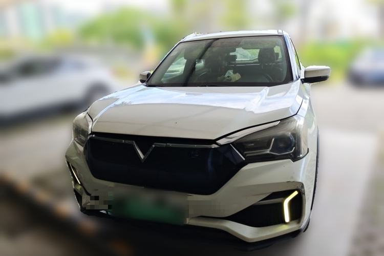 Used Venucia T60EV 2020 AI Enjoyment Model Front