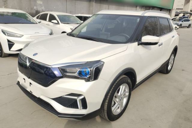 Used Venucia T60EV 2020 AI Fashion Model