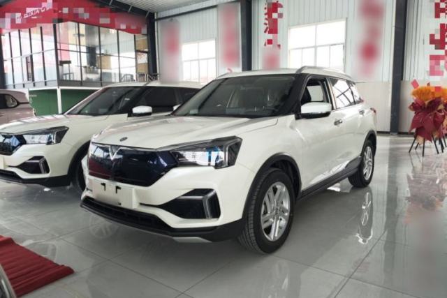 Used Venucia T60EV 2020 AI Enjoyment Model