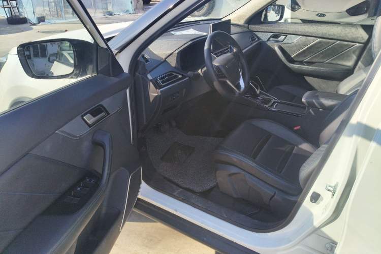 Used Venucia T60EV 2020 AI Enjoyment Model Interior 3