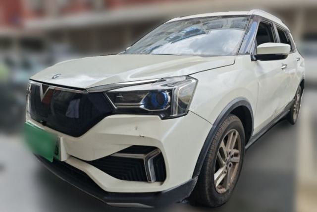 Used Venucia T60EV 2020 AI Enjoyment Model