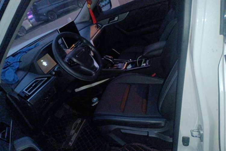 Used Venucia T60EV 2020 AI Enjoyment Model Left Front Seat