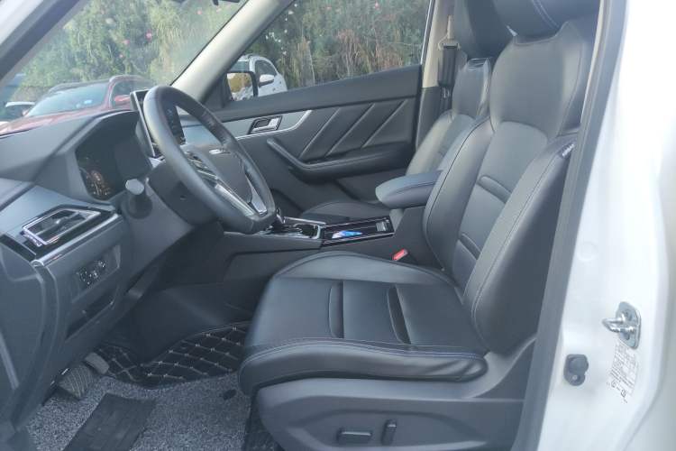 Used Venucia T60EV 2020 AI Flagship Model Left Front Seat