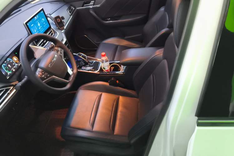 Used Venucia T60EV 2020 AI Flagship Model Left Front Seat