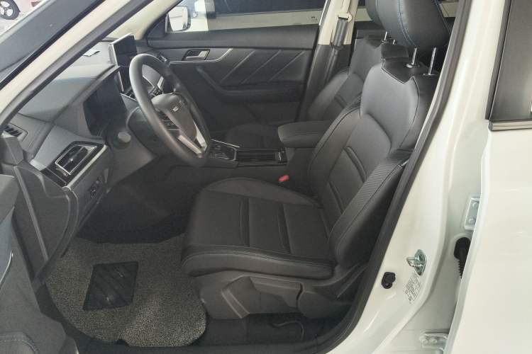 Used Venucia T60EV 2020 AI Enjoyment Model Left Front Seat