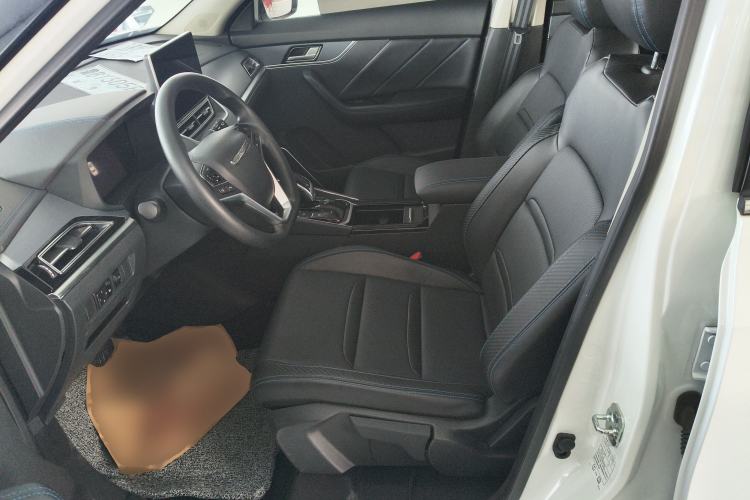 Used Venucia T60EV 2020 AI Enjoyment Model Left Front Seat