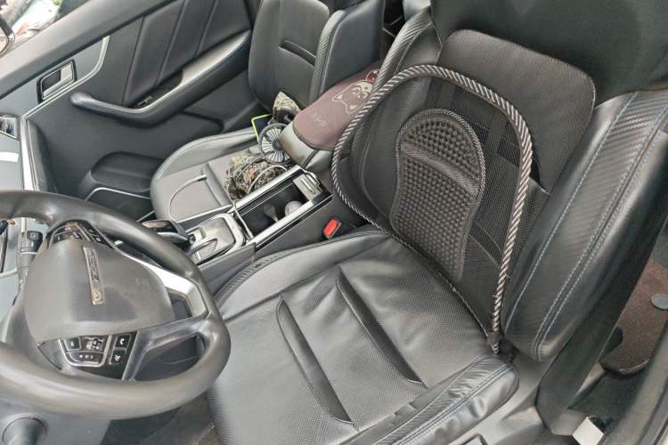 Used Venucia T60EV 2020 AI Enjoyment Model Left Front Seat
