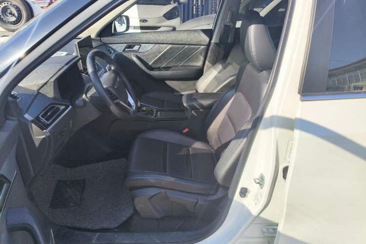 Used Venucia T60EV 2020 AI Enjoyment Model Left Front Seat
