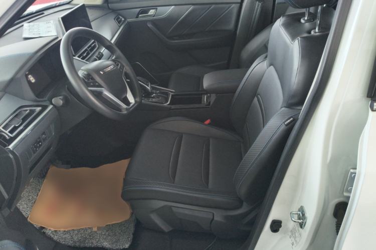 Used Venucia T60EV 2020 AI Enjoyment Model Left Front Seat